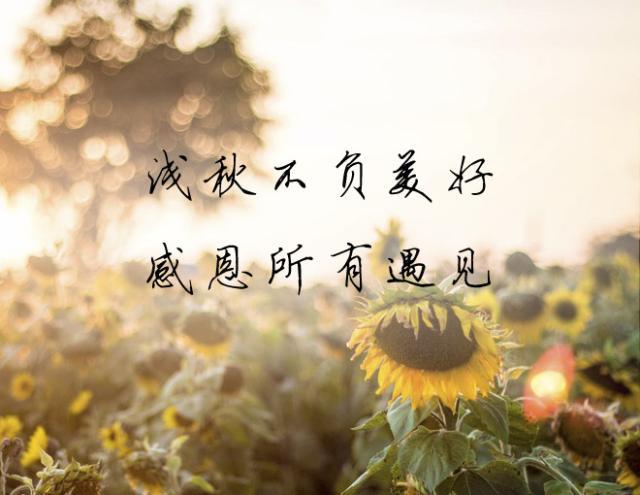  感恩遇见，不负不欠